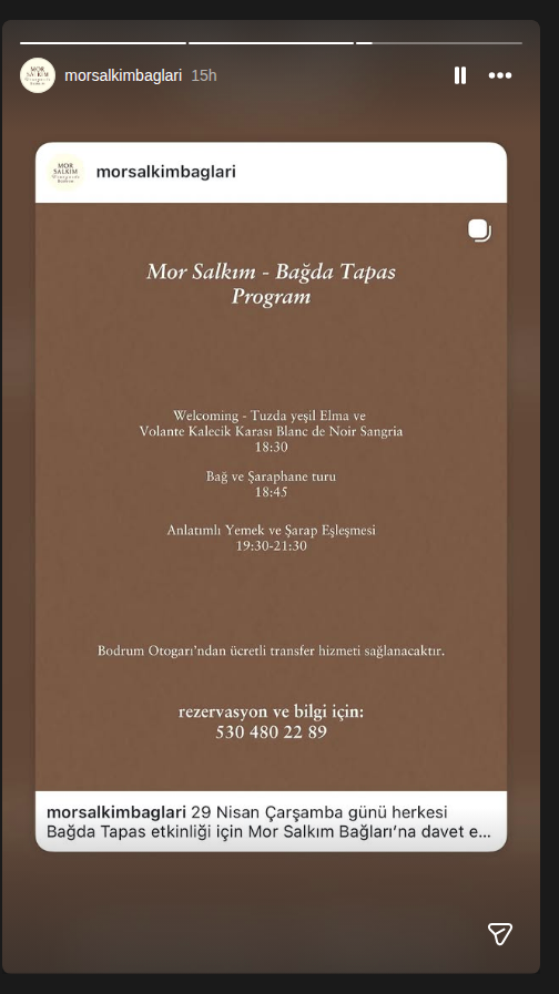 Bağ ve Şaraphane Turu: Anlatımlı Yemek ve Şarap Eşleşmesi Etkinlik afişi