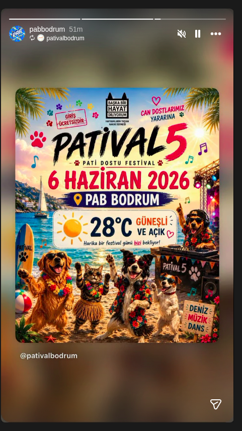 Patival 5 — Pab Bodrum Etkinlik afişi