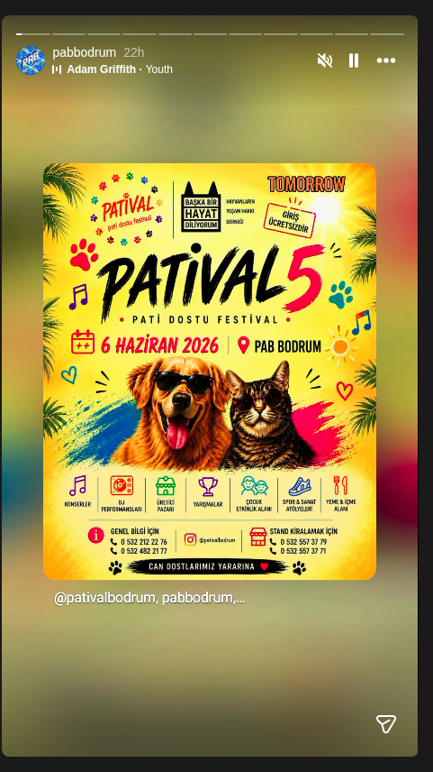 Hayat Gleis — Patival 5 Etkinlik afişi