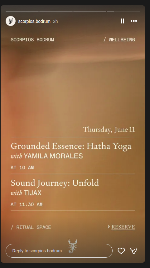 Grounded Essence — Hatha Yoga (Yamila Morales) Etkinlik afişi