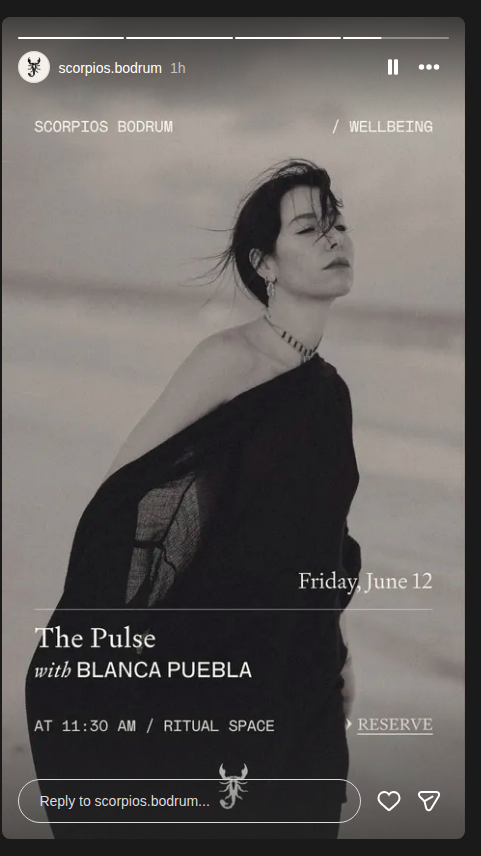 The Pulse — Blanca Puebla Etkinlik afişi