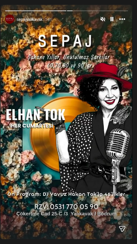 Elhan Tok Etkinlik afişi