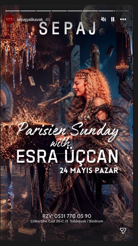 Parisien Sunday — Esra Üçcan Etkinlik afişi