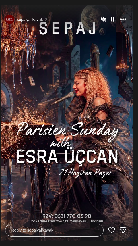 Parisien Sunday — Esra Üçcan Etkinlik afişi