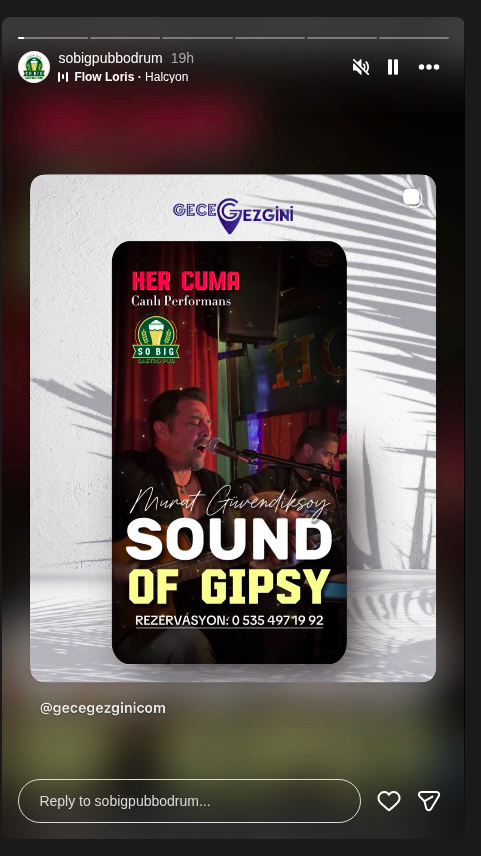 Sound of Gipsy Etkinlik afişi