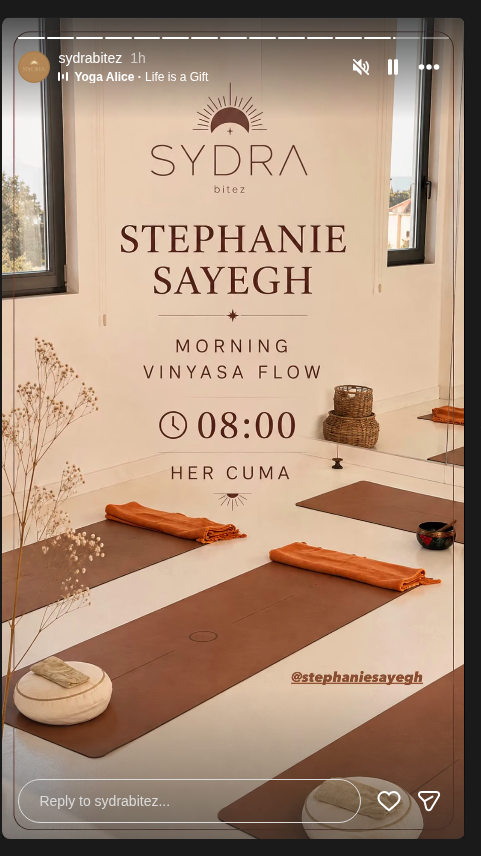 Morning Vinyasa Flow - Stephanie Sayegh