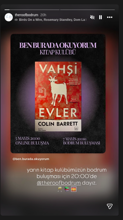Kitap Kulübü — Colin Barrett: Vahşi Evler Etkinlik afişi