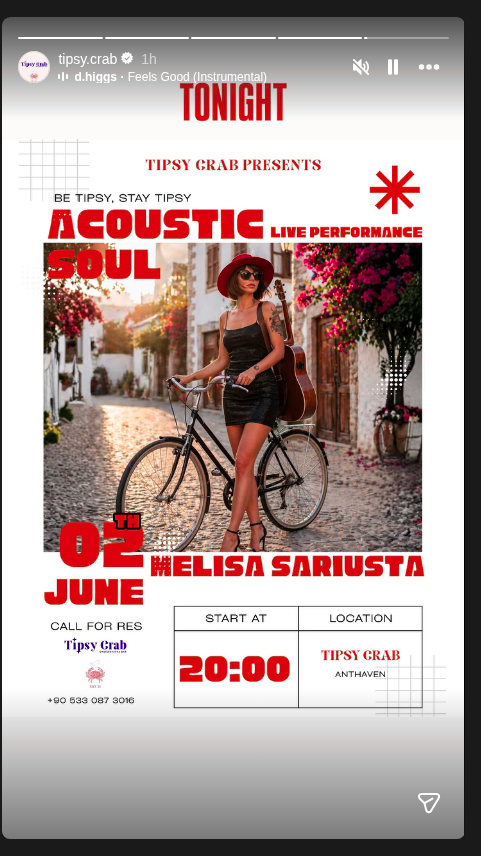 Elisa Sariusta — Acoustic Soul Etkinlik afişi
