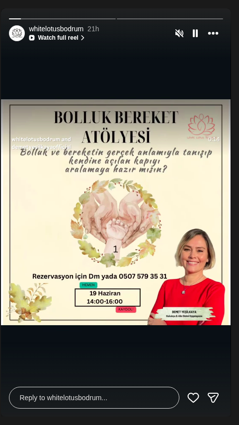 Demet Yeşilkaya - Bolluk Bereket Atölyesi Etkinlik afişi