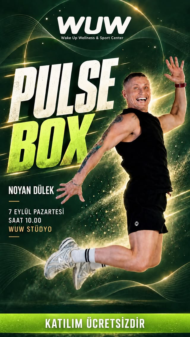 Pulse Box — Noyan Dülek