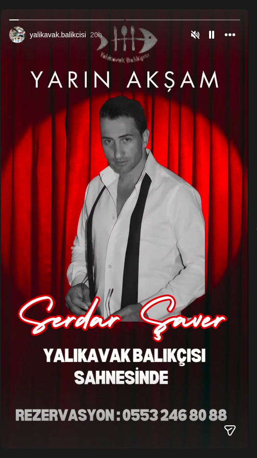 Serdar Şanver Etkinlik afişi