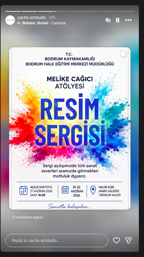 Melike Çağici - Resim Sergisi - Açılış Kokteyli Etkinlik afişi