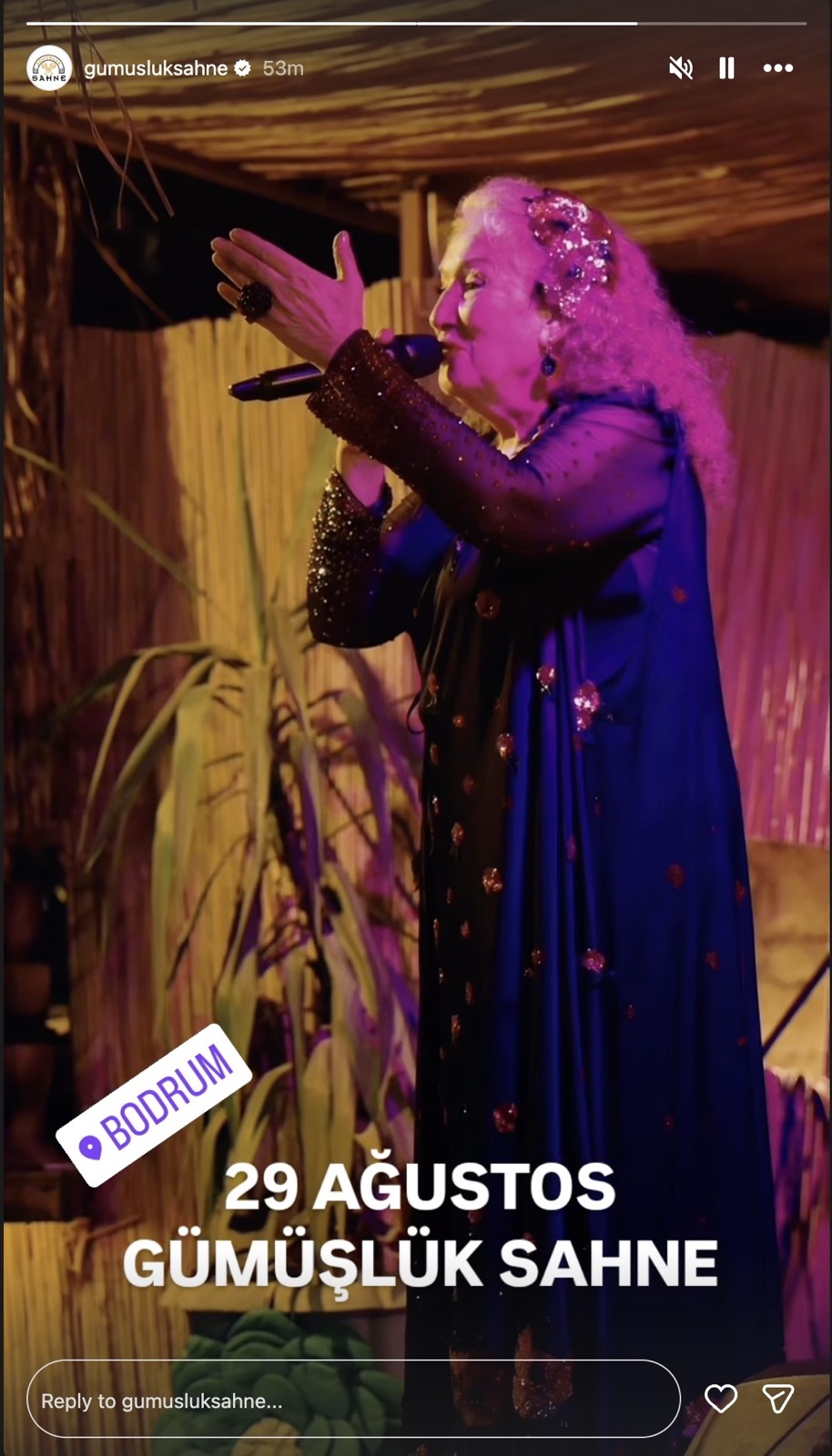 Performans